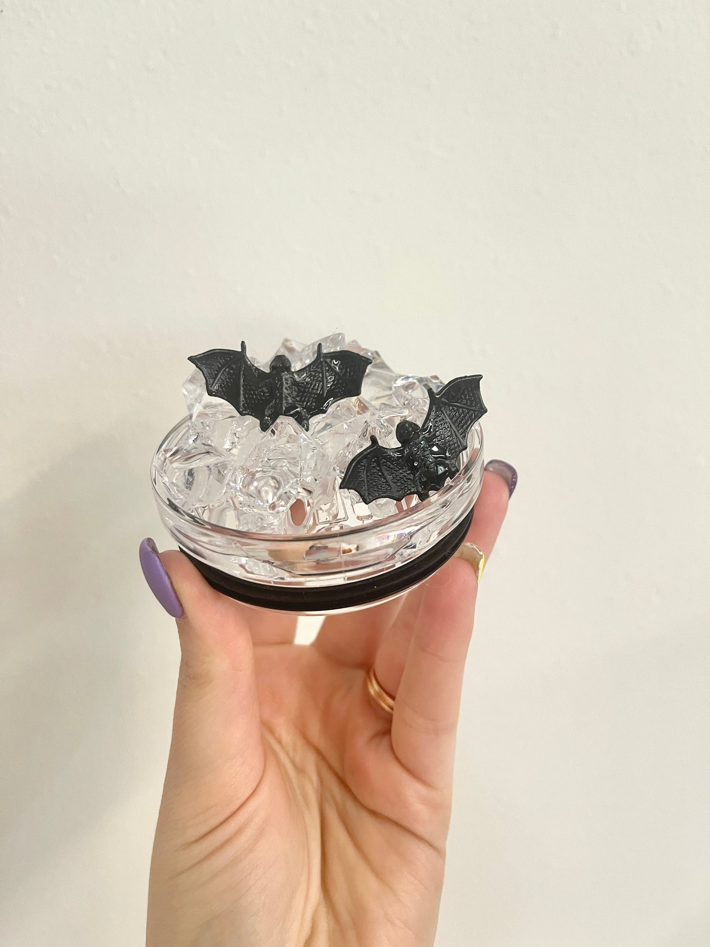 Bats Lid